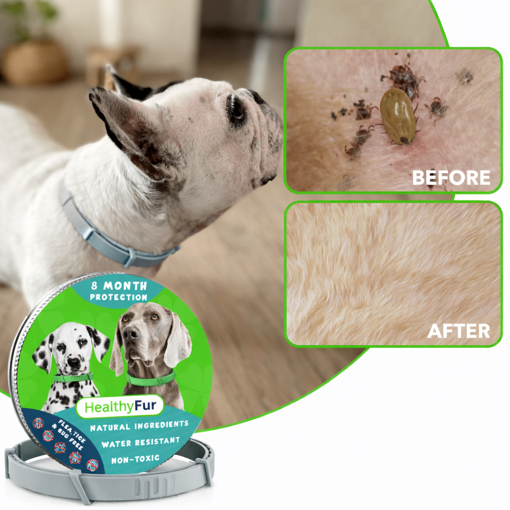 HealthyFur™ - 8 Months All Natural Flea and Tick Collar for Dogs
