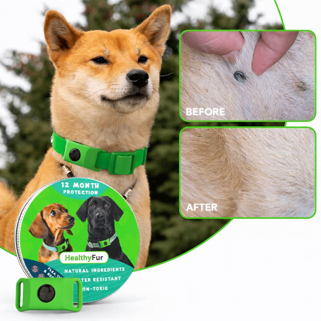 HealthyFur™ - 12 Months All Natural Flea and Tick Tags for Dogs & Cats